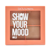 تصویر  پالت 4 رنگ رژگونه پاستل Pastel Show Your Mood WILD